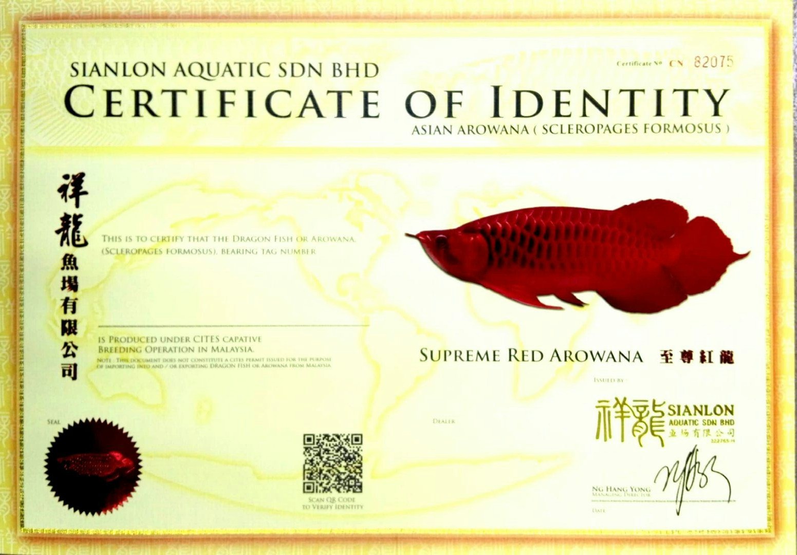 Subotica SUPREME RED AROWANA